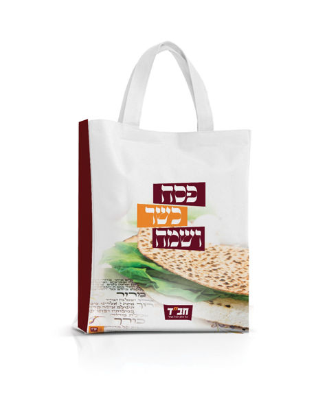 Picture of 10 units - designed Pesach bags - fabric