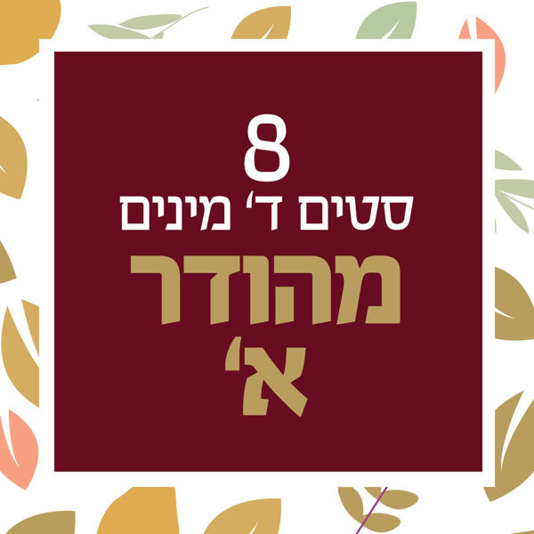Picture of 8 סטים מהודר א